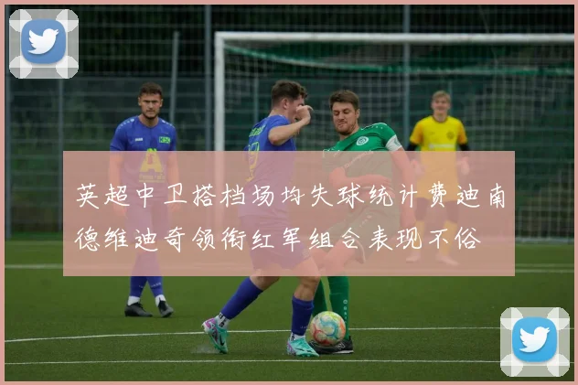 英超中卫搭档场均失球统计费迪南德维迪奇领衔红军组合表现不俗