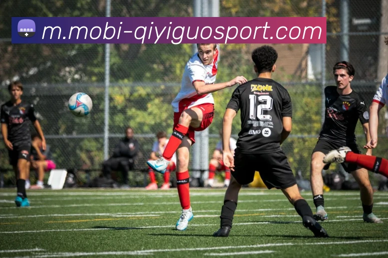 App Interface Preview