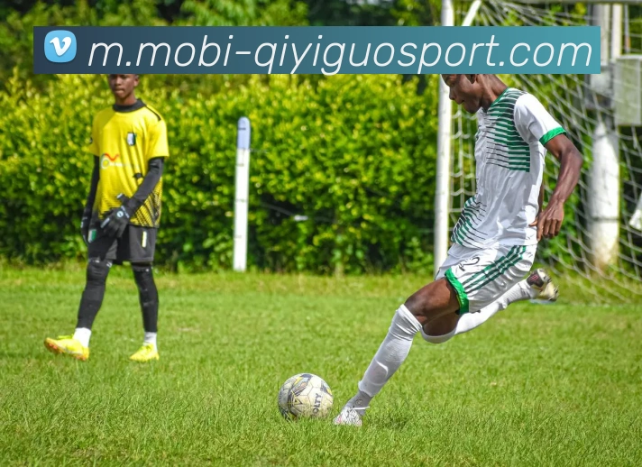 奇异果体育APP 封面图